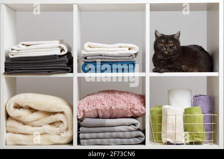 Handtücher, Bettwäsche, Bettwäsche und eine Katze im Regal. Stockfoto