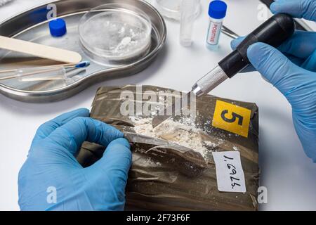 Spezialisierte Polizei öffnen Drogenbündel im Kriminallabor, konzeptuelles Image Stockfoto