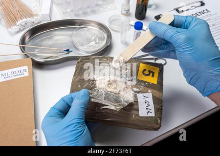 Spezialisierte Polizei überprüfen Drogen auf Petrischale im Kriminallabor, konzeptuelles Bild Stockfoto