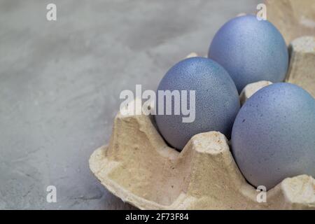 Die Eier in einer Pappschachtel sind mit natürlichem Farbstoff bemalt: Rotkohl. Ostern Stockfoto