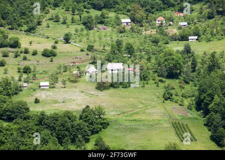 Bauernhöfe befinden sich an Berghängen im Durmidor-Massiv. Nordwest-Montenegro, Europa Stockfoto