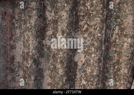Alter Schiefer mit moosbedeckten Wänden. Nahaufnahme des Hintergrunds. Stockfoto