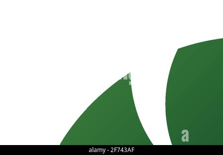 Verschiedene tropische Blätter auf Weiß Stock Vektor