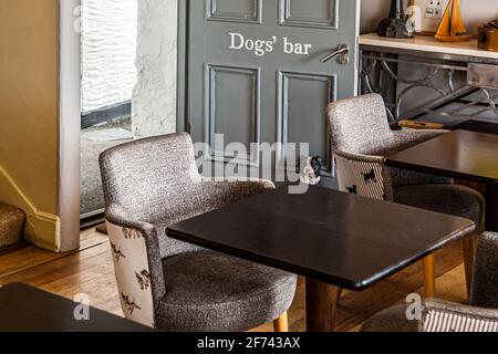 Die „Dogs' Bar“ im Hotel Tresanton in St Mawes, Cornwall, England, befindet sich neben einem Konsolentisch mit maritimen Dekorationsobjekten, davor stehen Sessel mit einem Hunde-Druckbezug. In dieser hundefreundlichen Lounge serviert das Personal auf Anfrage Gerichte aus dem Restaurant an die vierbeinigen Gäste. Stockfoto
