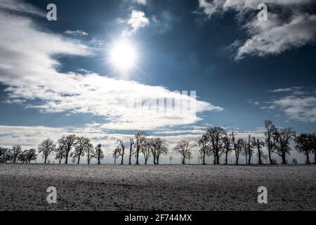 Winterlandschaft Mit Silhouetten Von Bäumen Und Strahlender Sonne Stockfoto