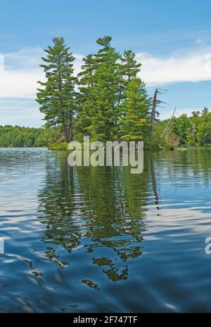 Insel, die sich aus einem ruhigen See in Sylvania abzeichnet Wildnis in Michigan Stockfoto