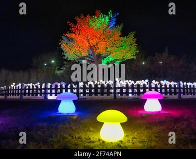 Nachtansicht der Jinhaeru Light Street, Changwon, Gyeongnam, Südkorea, Asien Stockfoto