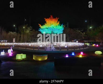 Nachtansicht der Jinhaeru Light Street, Changwon, Gyeongnam, Südkorea, Asien Stockfoto