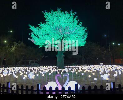 Nachtansicht der Jinhaeru Light Street, Changwon, Gyeongnam, Südkorea, Asien Stockfoto