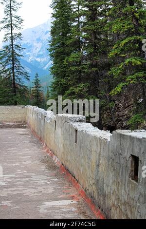 Eine derilizite Betonmauer entlang eines Waldes Stockfoto