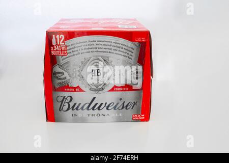 Calgary, Alberta, Kanada. 02. April 2021. Ein isoliertes Budweiser-Gehäuse mit 12 Flaschen Bier auf einem klaren Hintergrund. Stockfoto