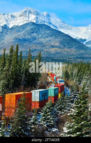 Ein mit Containern beladener kanadischer Güterzug fährt um eine Ecke in einem bewaldeten Gebiet der felsigen Berge von Alberta Canada. Stockfoto
