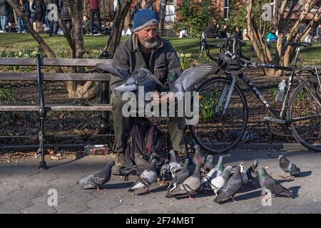 New York, Usa. April 2021. Ein Mann füttert Tauben im Washington Square Park in New York City. (Foto von Ron Adar/SOPA Images/Sipa USA) Quelle: SIPA USA/Alamy Live News Stockfoto