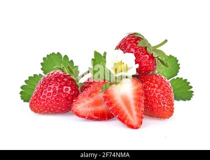 Erdbeere Pflanze mit Blättern, Beeren und Blumen, auf weißem Hintergrund. Stockfoto