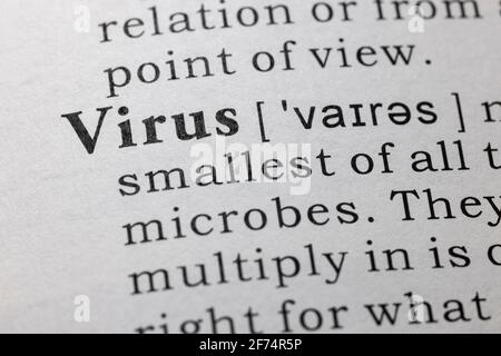 Fake Dictionary, Wörterbuch Definition von Virus Stockfoto