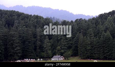 Touristen tummeln sich im Wald von Khajjiar im Staat Von Himachal Pradesh in Indien Stockfoto