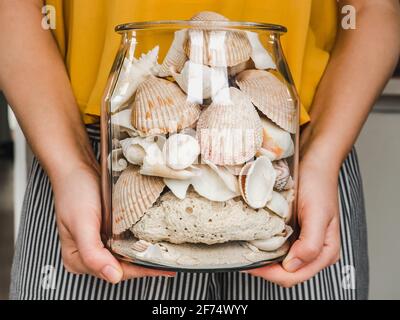 Weibliche Hände halten ein Glas mit Muscheln. Nahaufnahme, Innenbereich Stockfoto