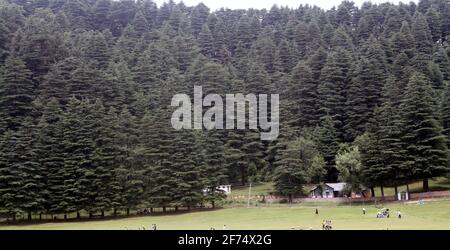 Touristen tummeln sich im Wald von Khajjiar im Staat Von Himachal Pradesh in Indien Stockfoto