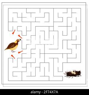 Ein Labyrinth-Spiel für Kinder. Führen Sie den Vogel durch das Labyrinth zum Nest mit Eiern. Wachteln. Vektor Stock Vektor