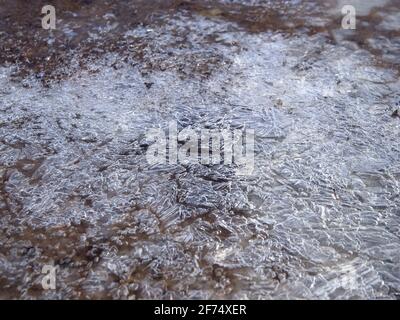 Gefrorenes Wasser in der Pfütze am frühen Frühlingsmorgen. Stockfoto