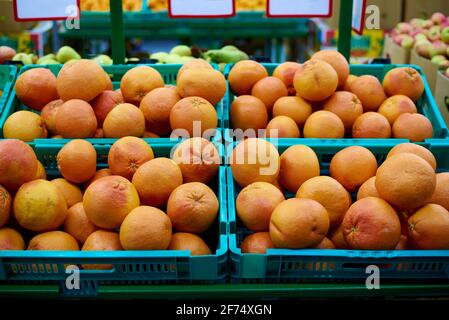Kisten mit Grapefruit gegen Früchte in den Regalen im Supermarkt. Stockfoto