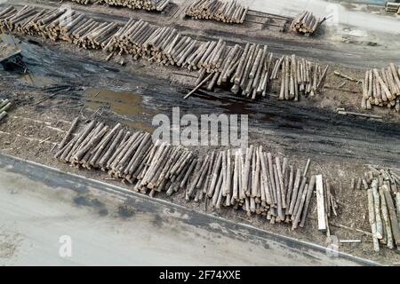 Blocklager bei einem holzverarbeitenden Betrieb Draufsicht. Stockfoto