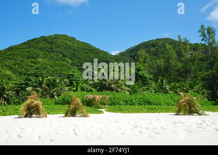 Petite Anse Beach auf der Insel La Digue, Indischer Ozean, Seychellen. Stockfoto