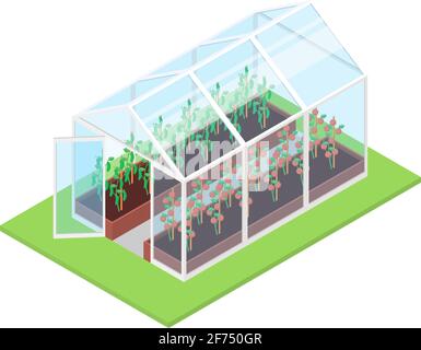 Isoliertes Gewächshaus auf weißem Hintergrund. Isometrische Darstellung des flachen Vektorgrafikes. Stock Vektor