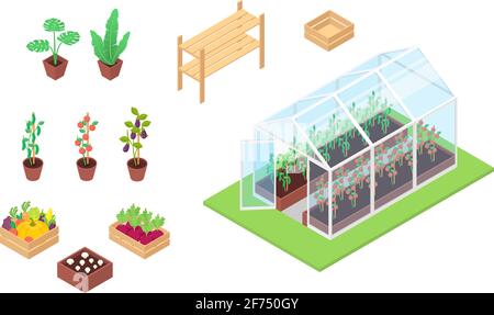Set aus Gemüse, Pflanzen, Setzlingen und Gewächshaus auf weißem Hintergrund. Isometrische Darstellung des flachen Vektorgrafikes. Stock Vektor