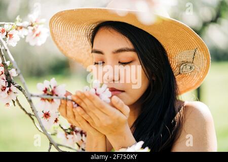 Ethnisches Weibchen im Strohhut riecht Blumen nach blühender Kirsche Baumzweige wachsen im Garten Stockfoto