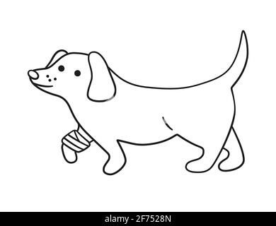 Ein kranker Hund mit einer verwundeten Pfote in Verbänden im Doodle-Stil. Handgezeichnete Vektorgrafik Stock Vektor