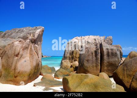 Große Granitfelsen in Anse Patates Strand, La Digue Insel, Indischer Ozean, Seychellen. Wunderschöne tropische Landschaft mit sonnigem Himmel. Stockfoto