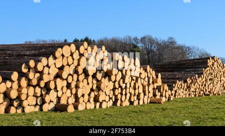 Holzfällerplatz oder Holzfällerplatz mit Haufen von gefällten Bäumen oder Baumstämmen, Holzstapel in der Nähe eines Waldes, Entwaldung in Deutschland, Europa Stockfoto