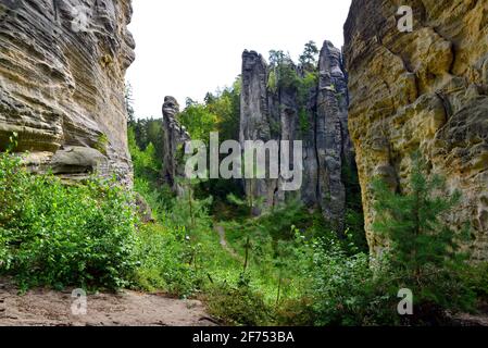 Sandsteinfelsen in Prachovske skaly, Böhmisches Paradies (Cesky Raj), Tschechien. Stockfoto