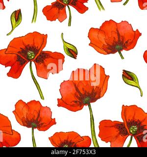 Nahtloses Muster aus roten, wasserfarbenen, auf Weiß isolierten Mohnblumen Hintergrund Stockfoto