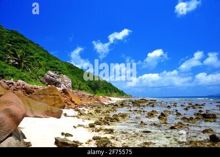 Anse Fourmis Strand in La Digue Island, Indischer Ozean, Seychellen. Tropisches Reiseziel. Stockfoto