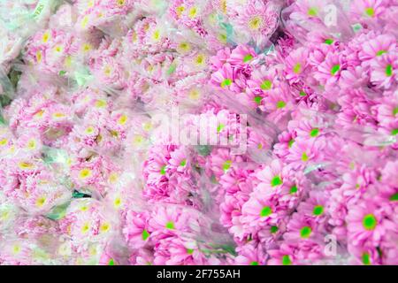 Boxen mit verschiedenen Sorten von Blumensträußen in der Großhandelslager des Pflanzen- und Blumenherstellers Stockfoto