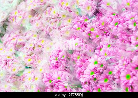Boxen mit verschiedenen Sorten von Blumensträußen in der Großhandelslager des Pflanzen- und Blumenherstellers Stockfoto