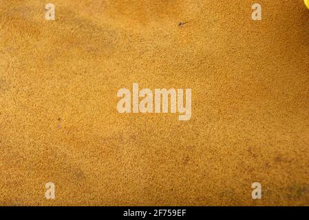 Brauner Hintergrund aus echtem Leder, natürliches Wildleder. Stockfoto