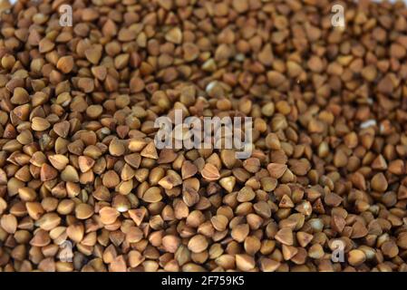 Frisches Getreide, brauner Buchweizen in Plastikbehälter und weißer Hintergrund mit interessanter Beleuchtung gestiegen. Stockfoto