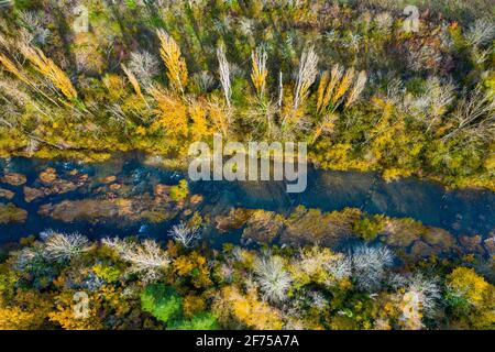 Luftaufnahme eines Flusses mit Ufervegetation im Herbst. Stockfoto