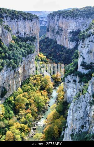 Schlucht und Fluss mit Laubwald im Herbst. Arbayun-Schlucht. Navarra, Spanien, Europa.