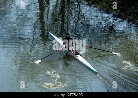 Jemand rudert ein einzelnes Schädelboot auf dem Fluss Avon, Warwick, Warwickshire, England, Großbritannien Stockfoto