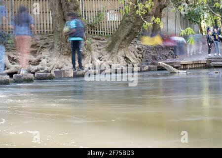 Film von Menschen, die auf einem Trittstein den Fluss Maulwurf überqueren Am Fuße des Boxhill Stockfoto