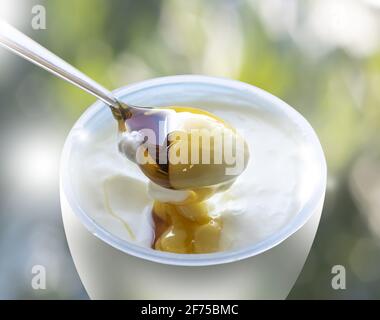Foto für Werbung : griechischer Joghurt mit Löffel voller Honig lädt zum Essen auf verschwommenem Bokeh Hintergrund. Speicherplatz Kopieren. Stockfoto