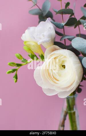 Zartes Bouquet von zartrosa Ranunculus Blume und weißer Freesie Mit Eukalyptus-Zweige auf rosa Hintergrund Stockfoto