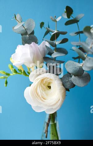 Zartes Bouquet mit weißem Ranunculus und Freesia-Blüten mit Eukalyptus Zweige auf blauem Hintergrund Stockfoto