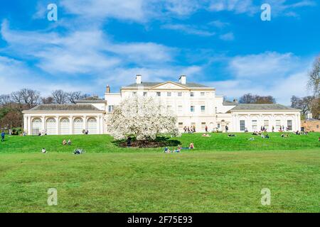 LONDON, Großbritannien - 30. MÄRZ 2021: Die Menschen genießen die Sonne vor dem Kenwood House mit einem wunderschönen weißen Magnolienbaum, der in einem Park am nördlichen bou blüht Stockfoto