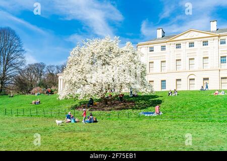 LONDON, Großbritannien - 30. MÄRZ 2021: Das Kenwood House in einem öffentlichen Park an der nördlichen Grenze von Hampstead Heath ist eine beliebte Touristenattraktion Stockfoto