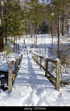 Schneebedeckte Fußbrücke nach einem Schneesturm Stockfoto